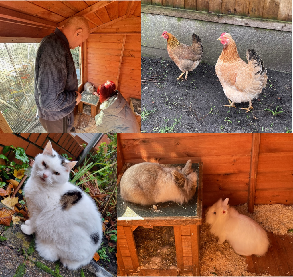 Introducing The Animals/Pets at Heath Lodge - Potens